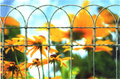 Decorative border fencing