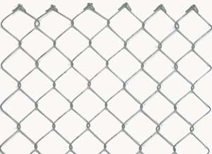Galvanized mesh mesh 30x30 mm, 10 m roll