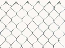 Galvanized mesh mesh 30x30 mm, 10 m roll
