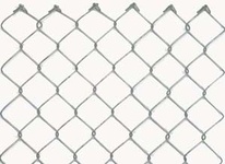 Galvanized mesh mesh 30x30 mm, 10 m roll