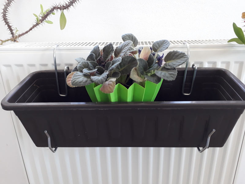 Zinc-plated box holder - round
