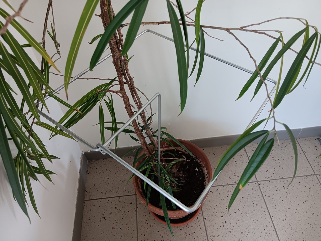 Plant support - square