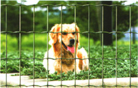 Welded plastic coated mesh Metuje - green - height 100 cm, mesh 100*75 mm, roll 25 m