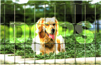 Welded mesh coated Metuje - green - height 150 cm, mesh 100*75 mm, roll 25 m 