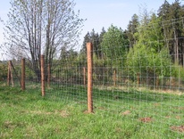 Herding netting Czech fence 120 cm - 2.2+2.8mm/12 wires/250mm/50m - 2nd quality