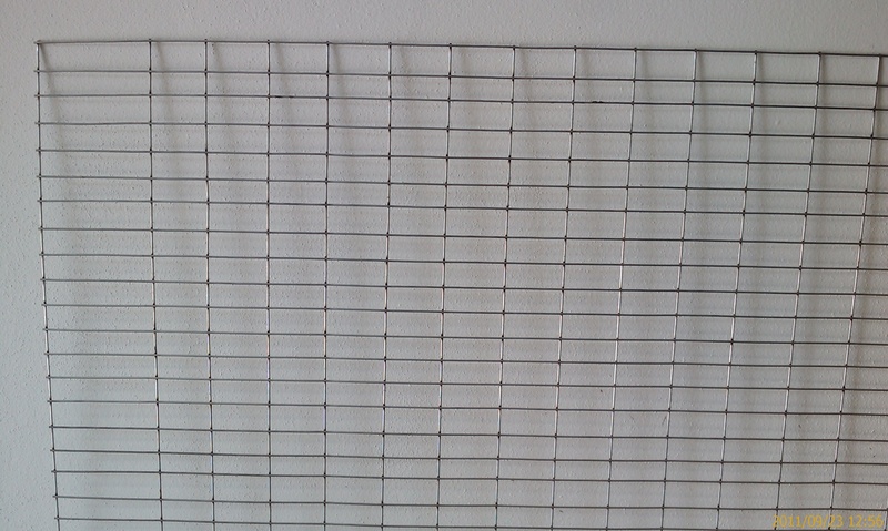 Breeding grid Amazon 2x1m