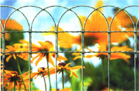 Ornamental mesh Decorative mesh 650 green